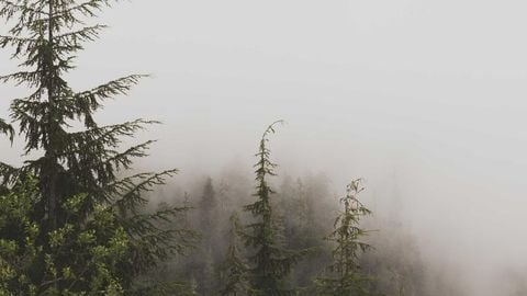 MMI2 KEYLESS OP - Universal script preview