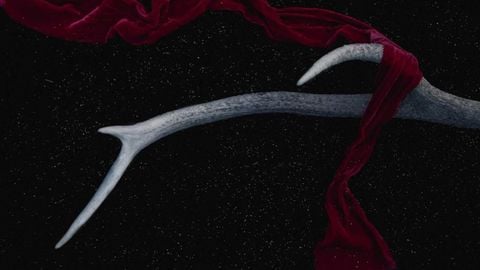 MMI2 KEYLESS OP - Universal script preview