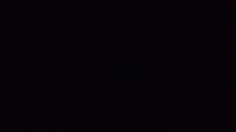 Test - Universal script preview