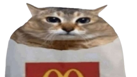 require script chatbox - Universal script preview