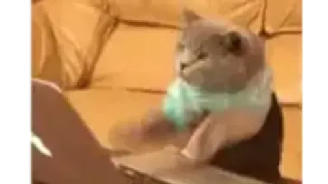 Fake Admin Fly Script - Universal script preview