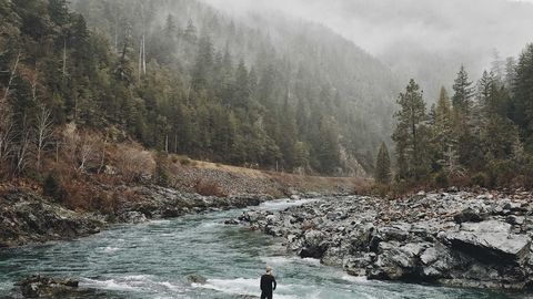 op script - Universal script preview