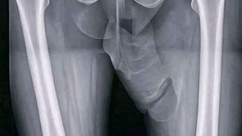 zWzymcymmPCsvqN - Universal script preview