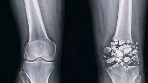 aIXoRSUntpMyGcW - Universal script preview