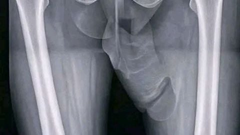 JEzGBQHMKIuwwfZ - Universal script preview