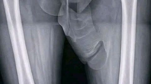 syOyYXHuEufEhbr - Universal script preview