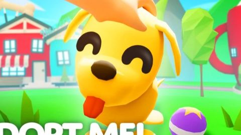 op script - Universal script preview