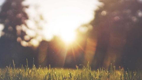 ad - Universal script preview