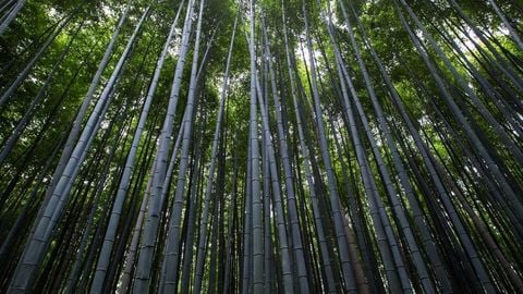 op script aimbot weapon spwnneand more - Universal script preview