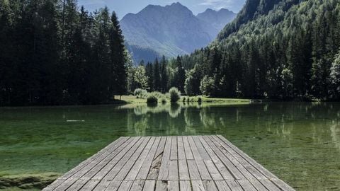 op script aimbot weapon spwnneand more - Universal script preview