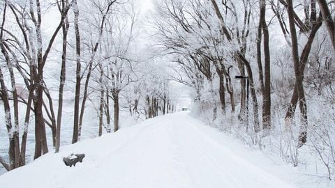 op script aimbot weapon spwnneand more - Universal script preview