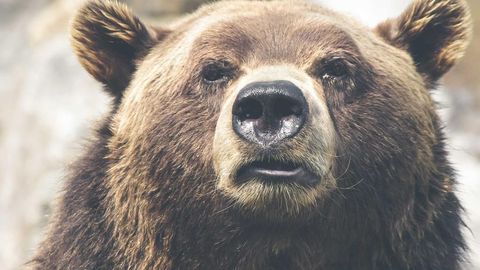 op script aimbot weapon spwnneand more - Universal script preview