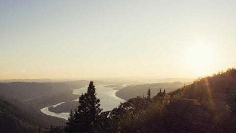 op script aimbot weapon spwnneand more - Universal script preview