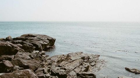 op script aimbot weapon spwnneand more - Universal script preview