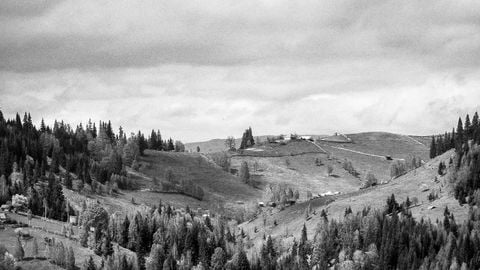 op script aimbot weapon spwnneand more - Universal script preview