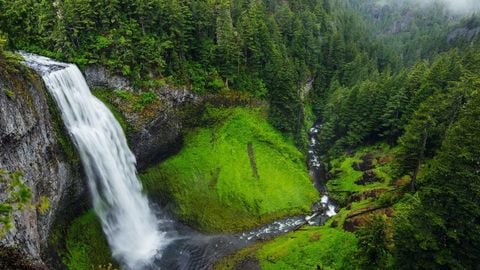 op script aimbot weapon spwnneand more - Universal script preview