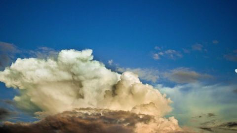 Real op script - Universal script preview