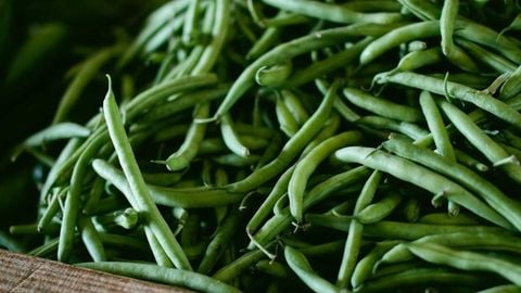 op script aimbot weapon spwnneand more - Universal script preview