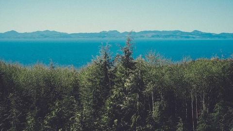 op script aimbot weapon spwnneand more - Universal script preview