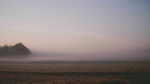 Real op script - Universal script preview