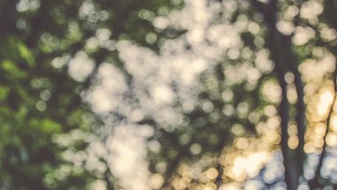 Real op script - Universal script preview