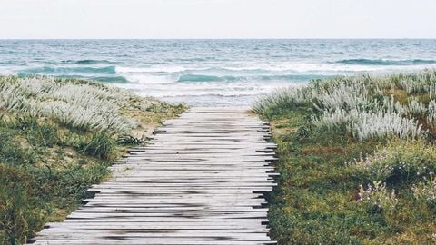 op script aimbot weapon spwnneand more - Universal script preview