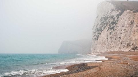 op script aimbot weapon spwnneand more - Universal script preview