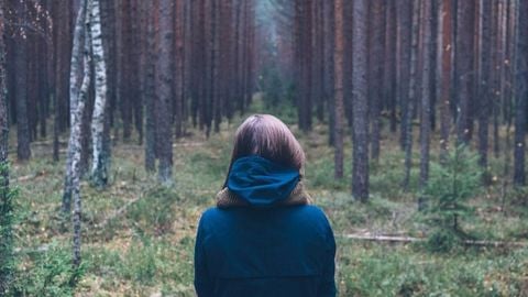 op script aimbot weapon spwnneand more - Universal script preview