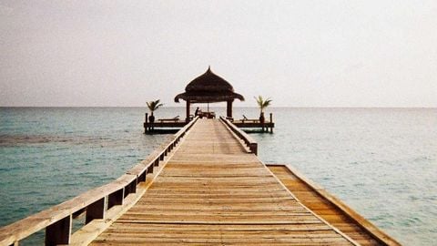 op script aimbot weapon spwnneand more - Universal script preview