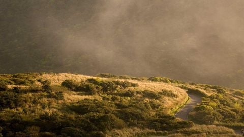 op script aimbot weapon spwnneand more - Universal script preview