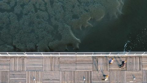 op script aimbot weapon spwnneand more - Universal script preview