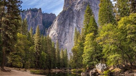 op script aimbot weapon spwnneand more - Universal script preview