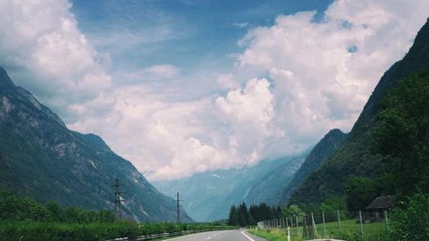 Real op script - Universal script preview