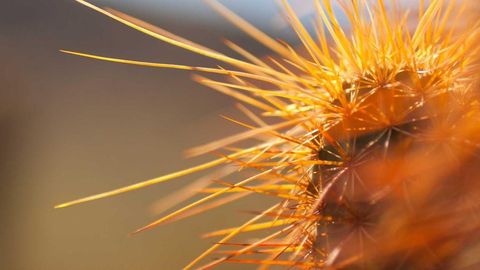 op script aimbot weapon spwnneand more - Universal script preview