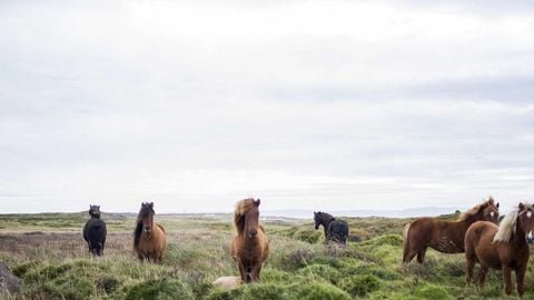 op script aimbot weapon spwnneand more - Universal script preview