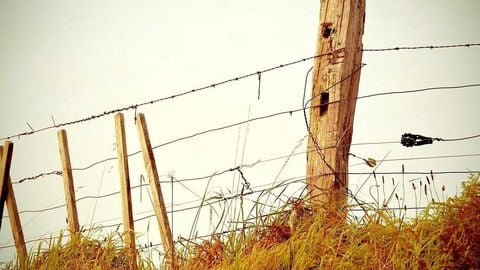 op script aimbot weapon spwnneand more - Universal script preview