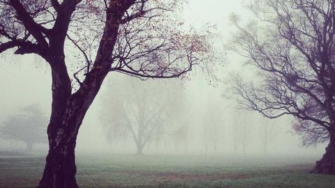 op script aimbot weapon spwnneand more - Universal script preview