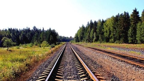 op script aimbot weapon spwnneand more - Universal script preview