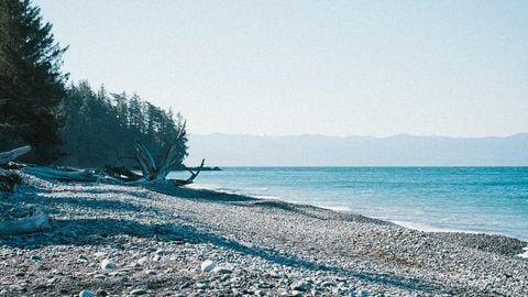 op script aimbot weapon spwnneand more - Universal script preview