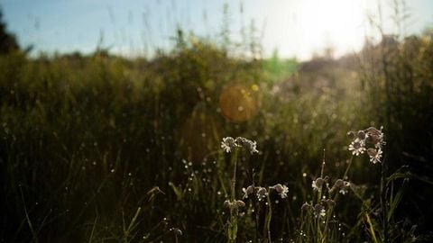 op script aimbot weapon spwnneand more - Universal script preview