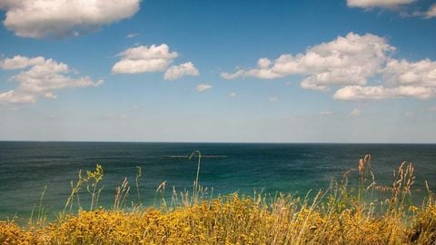 op script aimbot weapon spwnneand more - Universal script preview