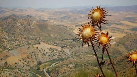 op script aimbot weapon spwnneand more - Universal script preview