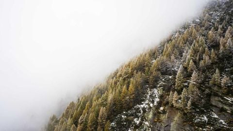 op script aimbot weapon spwnneand more - Universal script preview