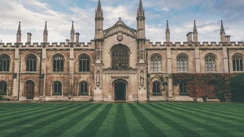 op script aimbot weapon spwnneand more - Universal script preview