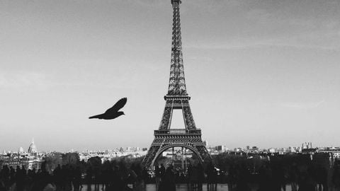 op script aimbot weapon spwnneand more - Universal script preview