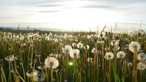 op script aimbot weapon spwnneand more - Universal script preview