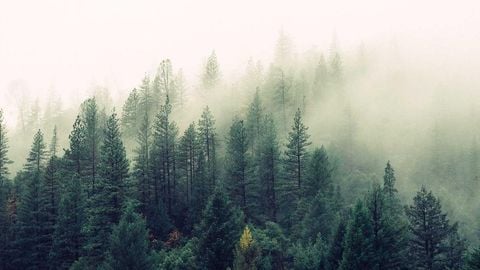 op script aimbot weapon spwnneand more - Universal script preview