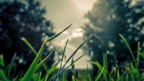 op script aimbot weapon spwnneand more - Universal script preview