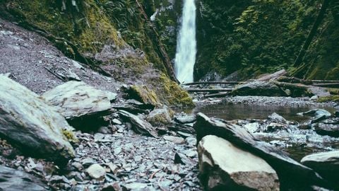 op script aimbot weapon spwnneand more - Universal script preview