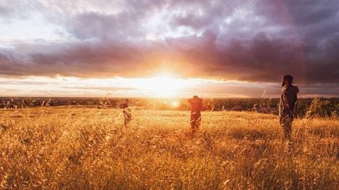 op script aimbot weapon spwnneand more - Universal script preview